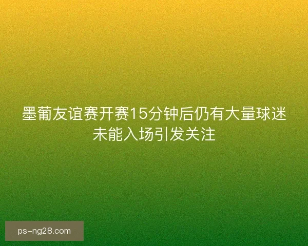 墨葡友谊赛开赛15分钟后仍有大量球迷未能入场引发关注