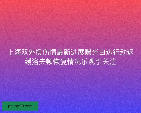 上海双外援伤情最新进展曝光白边行动迟缓洛夫顿恢复情况乐观引关注 上海双外援伤情最新进展曝光白边行动迟缓洛夫顿恢复情况乐观引关注