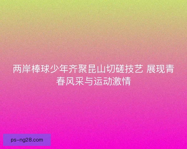 两岸棒球少年齐聚昆山切磋技艺 展现青春风采与运动激情